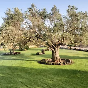 Su Sattisceddu , Uras Italie